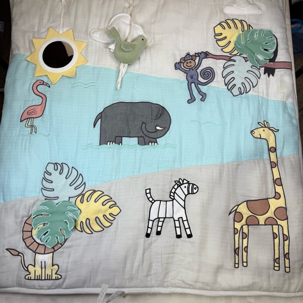 aden + anais Baby Bonding Playmat – Reversible 45” x 45” Cotton Muslin Mat